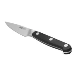 Zwilling Spick & Garniermesser 10 Cm -Heimische Küche Verkäufe 38400 103 02